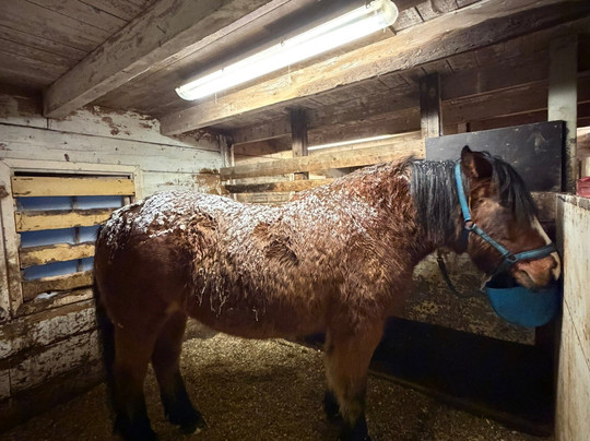 Tromsø Lyngshest-特罗姆瑟必去景点