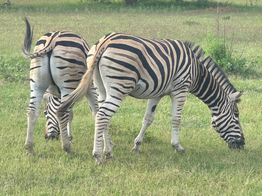 Loisico Tours and Excursions-Bloubergstrand必去景点