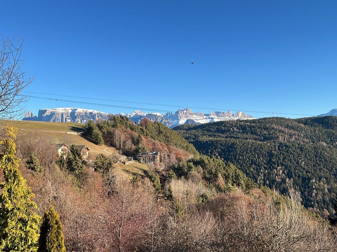 Pippo's Mountain Lodge主图