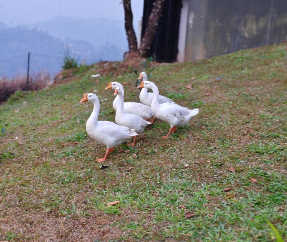 Haze And Kites Resort主图