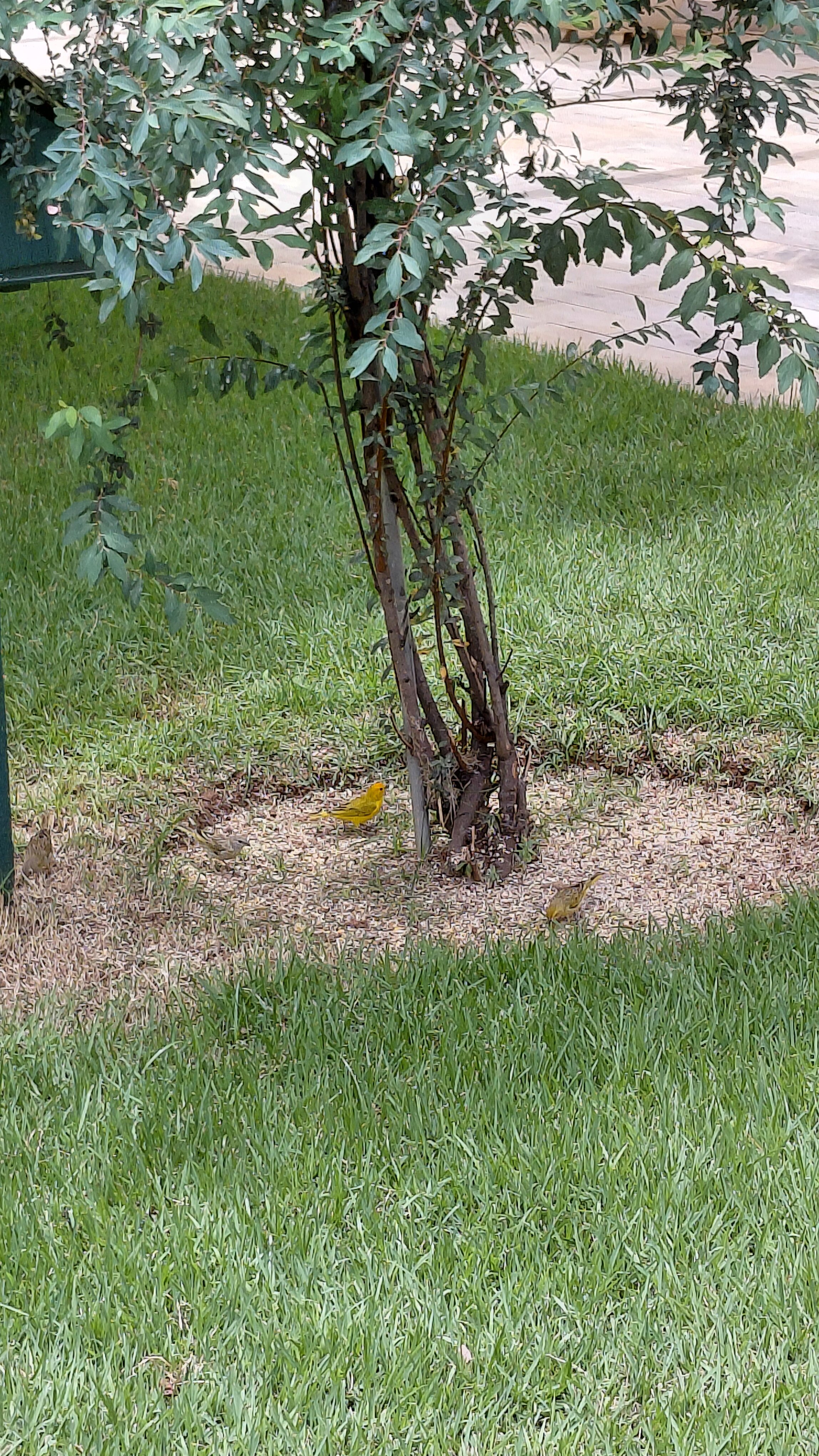 Pousada Don Quixote-泳池