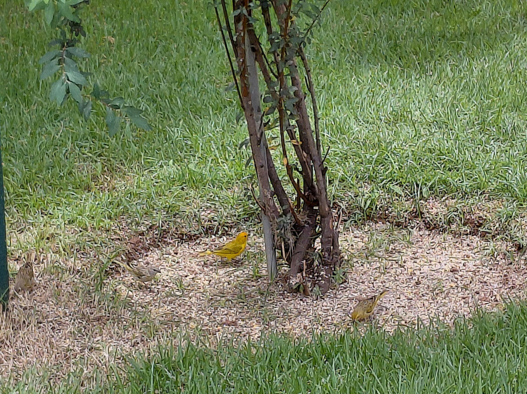 Pousada Don Quixote主图