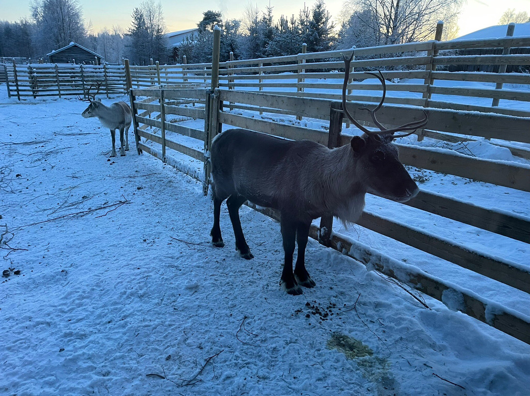 Local Lifestyle Rovaniemi-罗瓦涅米必去景点