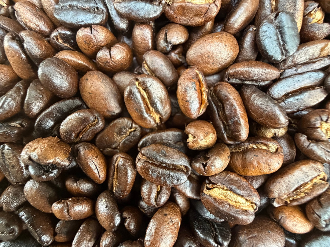 Mangalia Waterfalls-阿鲁沙必去景点