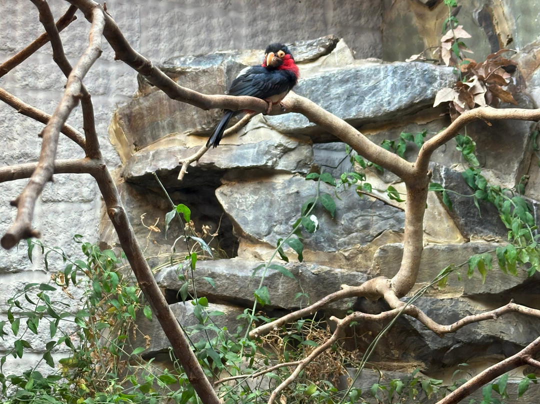 Birdworld-法纳姆必去景点