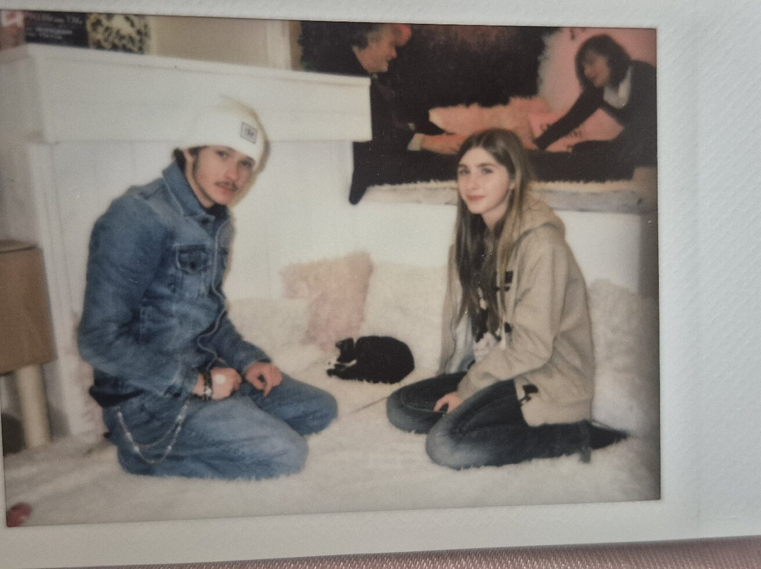 Crumbs & Whiskers-华盛顿特区必去景点