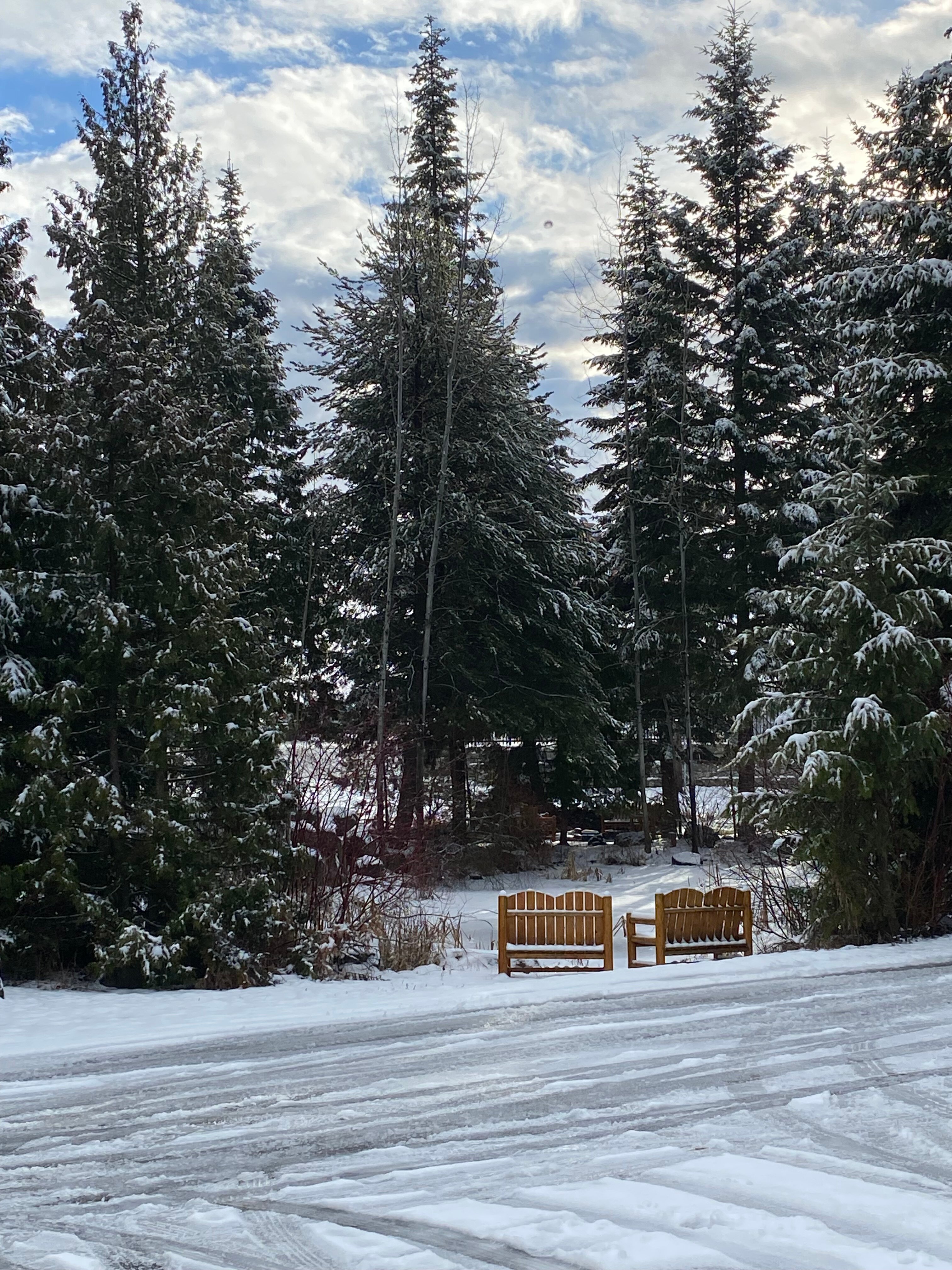 Bonners Ferry Log Inn-官方