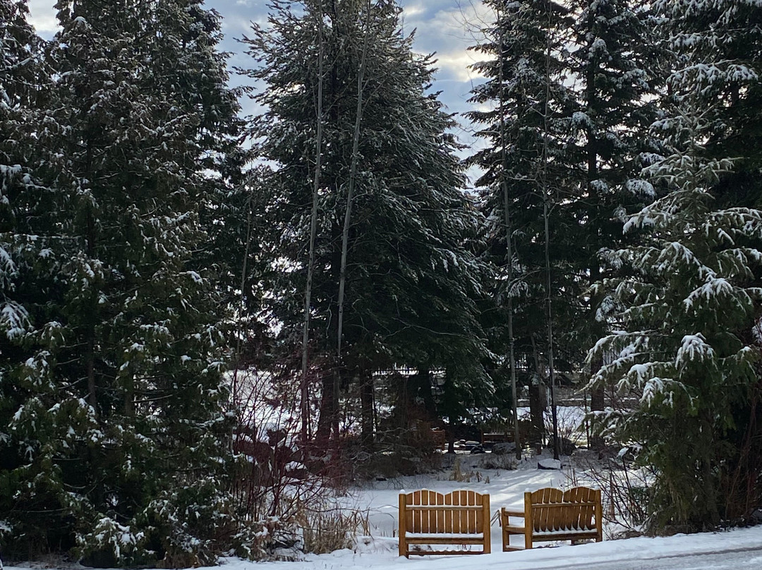 Bonners Ferry Log Inn主图