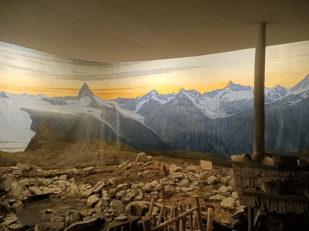 Alpineum Museum 3D Alpendiorama-卢塞恩必去景点