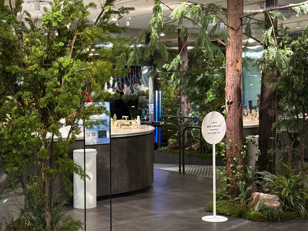 B The B-首尔必去景点