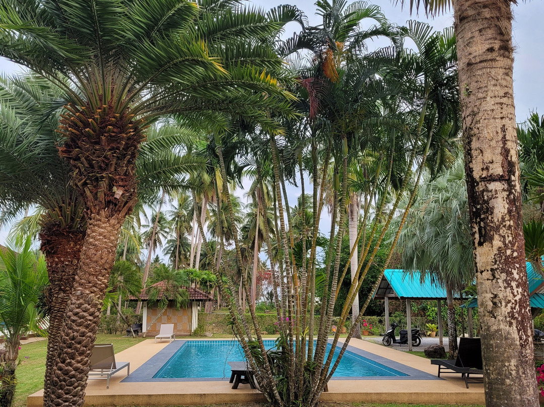 棕榈花园酒店主图