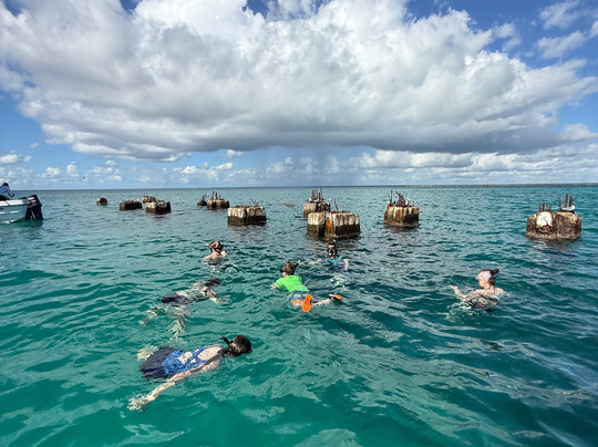 Muy Divertido Excursiones-Dominicus必去景点