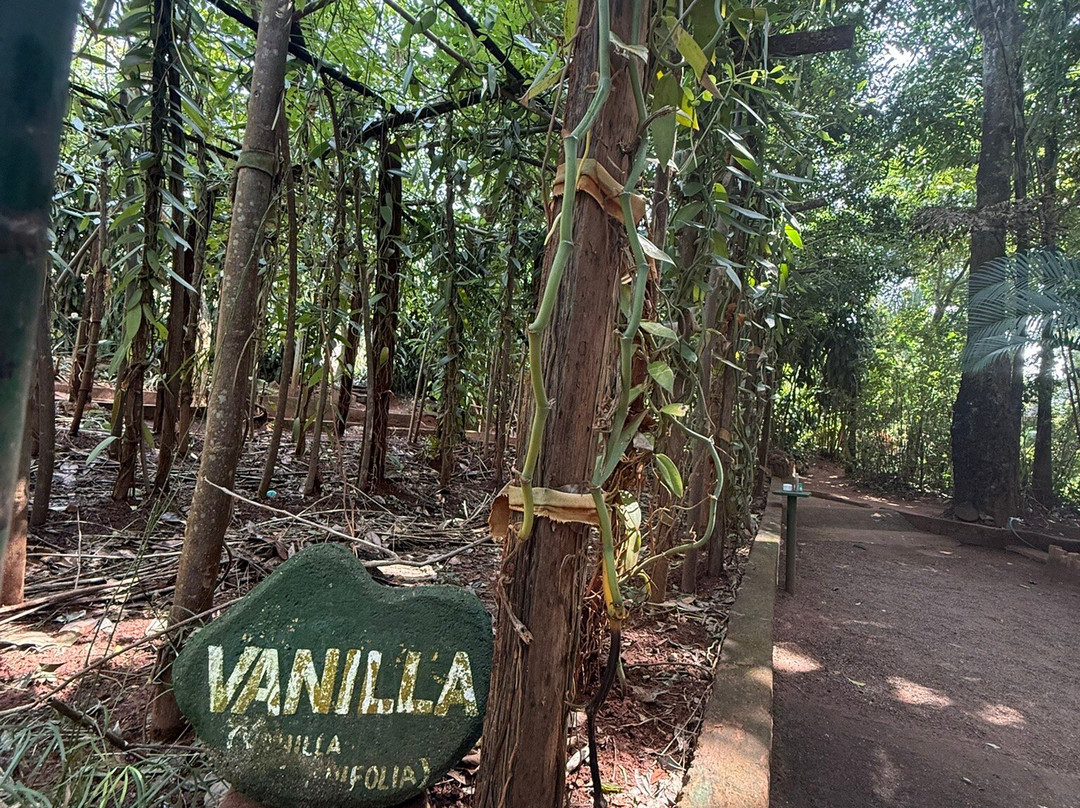 Wicky Tours Sri Lanka-尼甘布必去景点