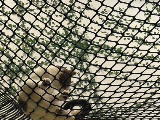 Experience Saladita-La Saladita必去景点