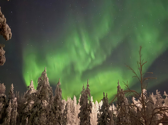 North Wind Lapland-Yllasjarvi必去景点