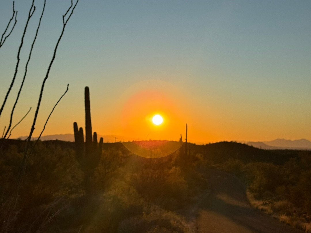 Saguaro National Park-图森必去景点