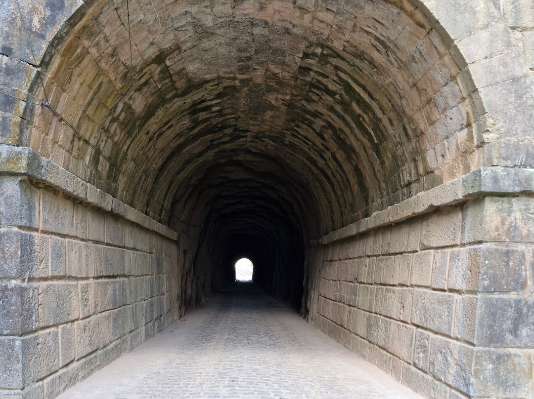 BARTUS Experiências-Bananeiras必去景点