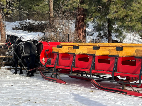 Leavenworth Snowmobile Tours at Mountain Springs Lodge-莱文沃思必去景点