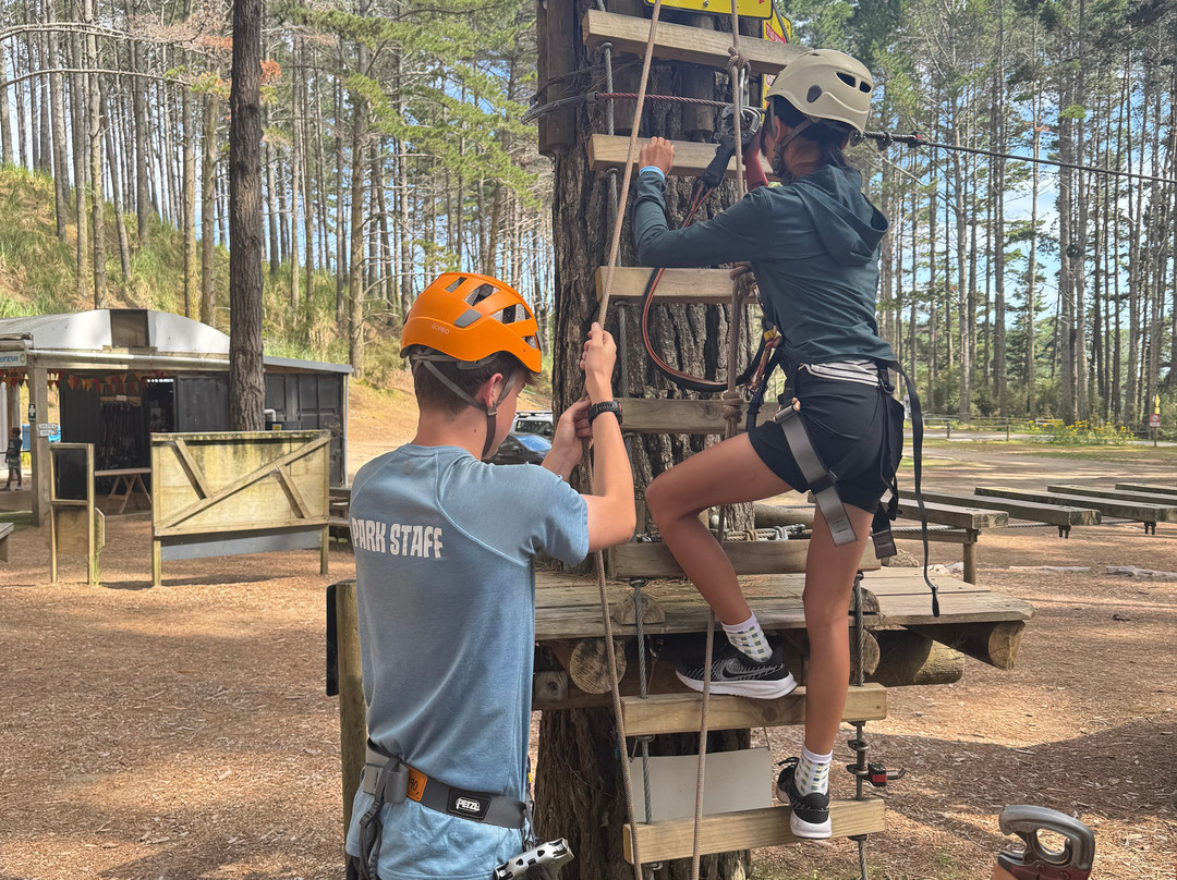 Tree Adventures-伍德山必去景点