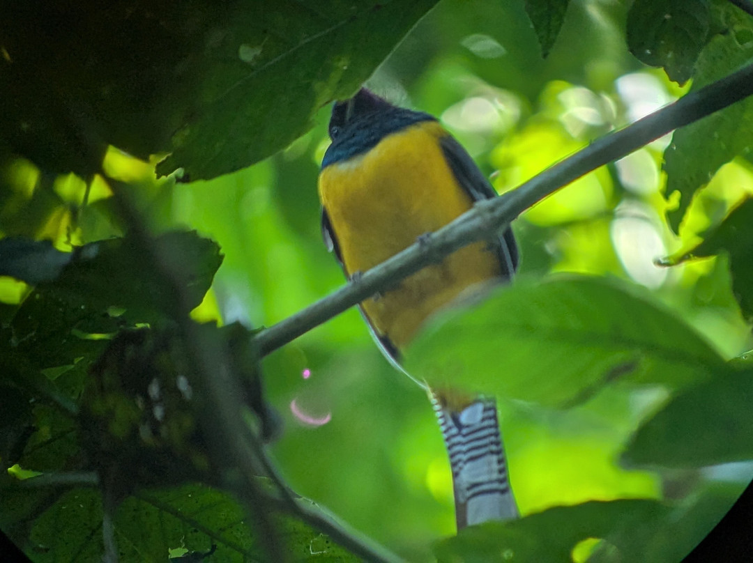 Costa Rica Focus-圣何塞必去景点