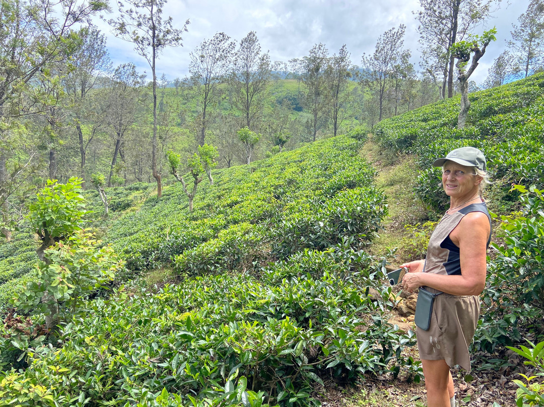 Different Discovery Tours-卡图纳耶克必去景点