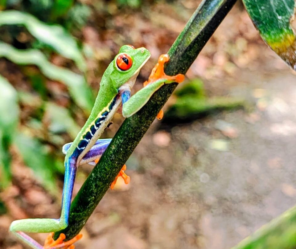 Matt's Fishing & Tours-萨迪纳尔必去景点