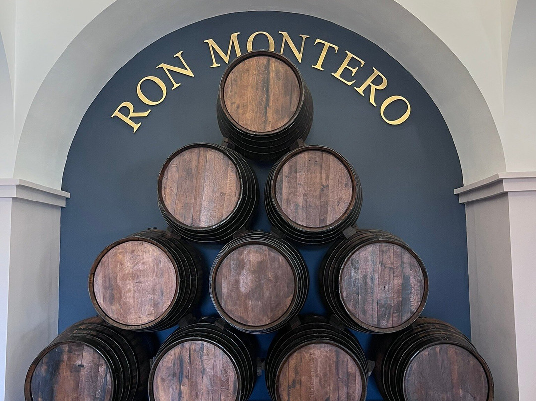 Ron Montero-莫特里尔必去景点