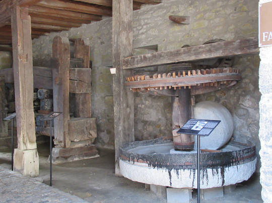 Musée d'Estavayer-le-Lac et ses Grenouilles-Estavayer-le-Lac必去景点