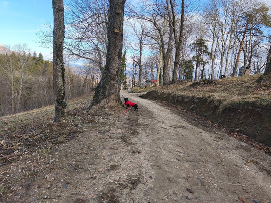 Il Regno dei Mazzamurelli-San Pio delle Camere必去景点