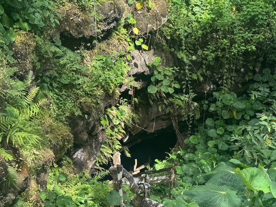 Tunel de Lava Bellavista-Bellavista必去景点