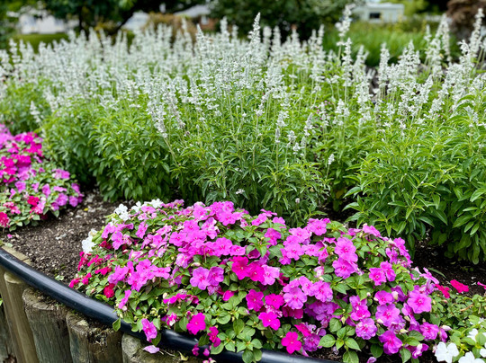 Scott Tours-陶兰加必去景点