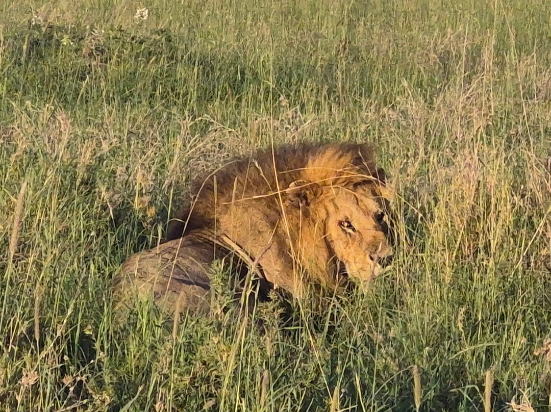 Tanzania Specialist-阿鲁沙必去景点