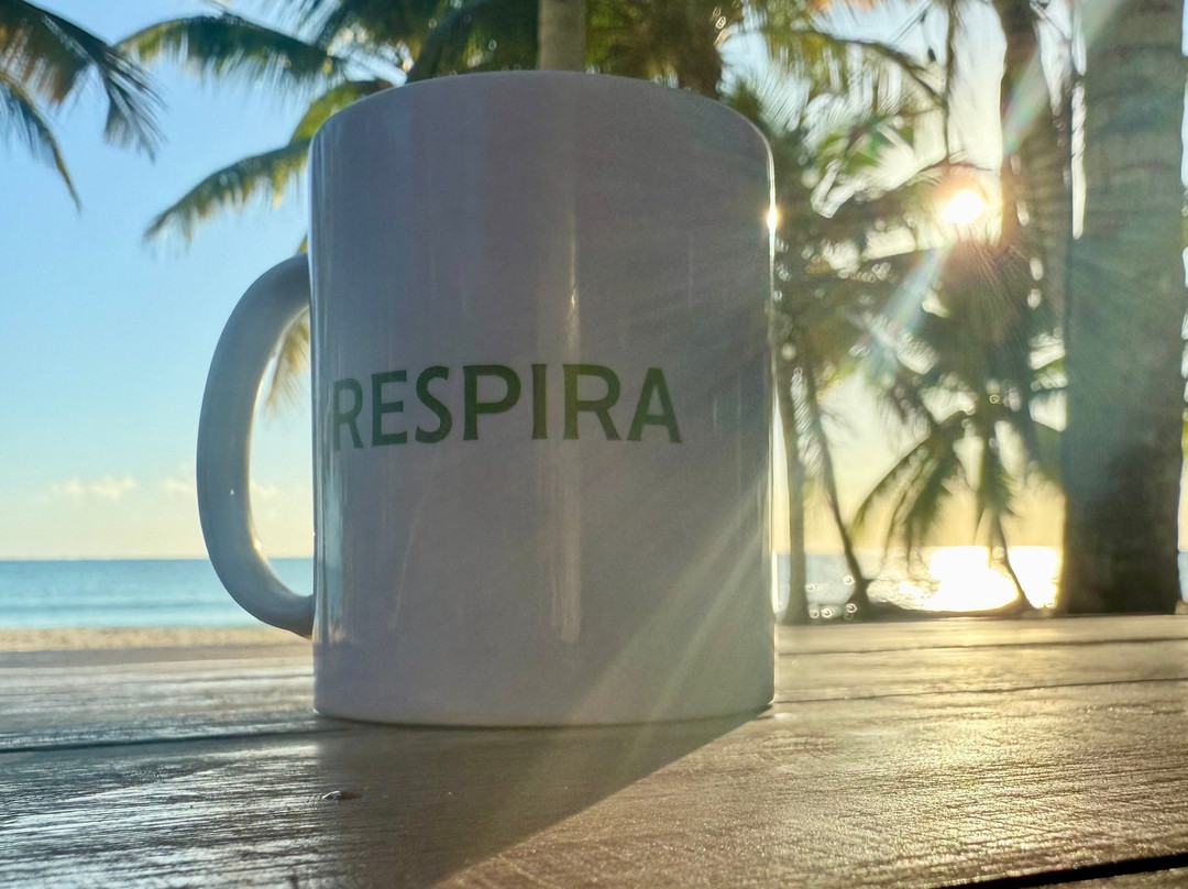 Hotel Cielo y Selva主图