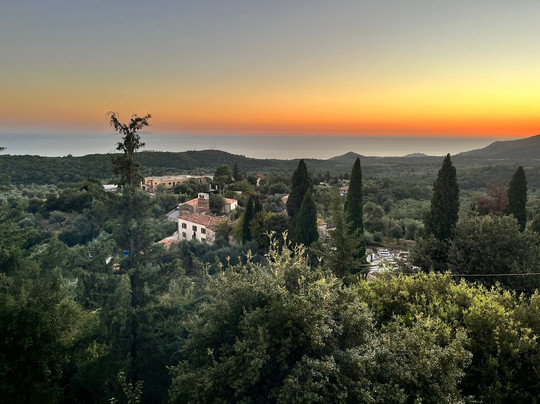 Restaurant Marko Vuno