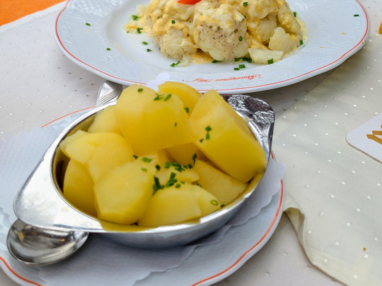 兰德加特诗瓦格纳霍夫酒店主图