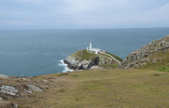 South Stack Cliffs RSPB Reserve-Holyhead必去景点
