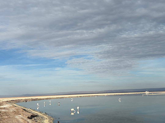 Sileia Tours-圣佩德罗-德阿塔卡马必去景点