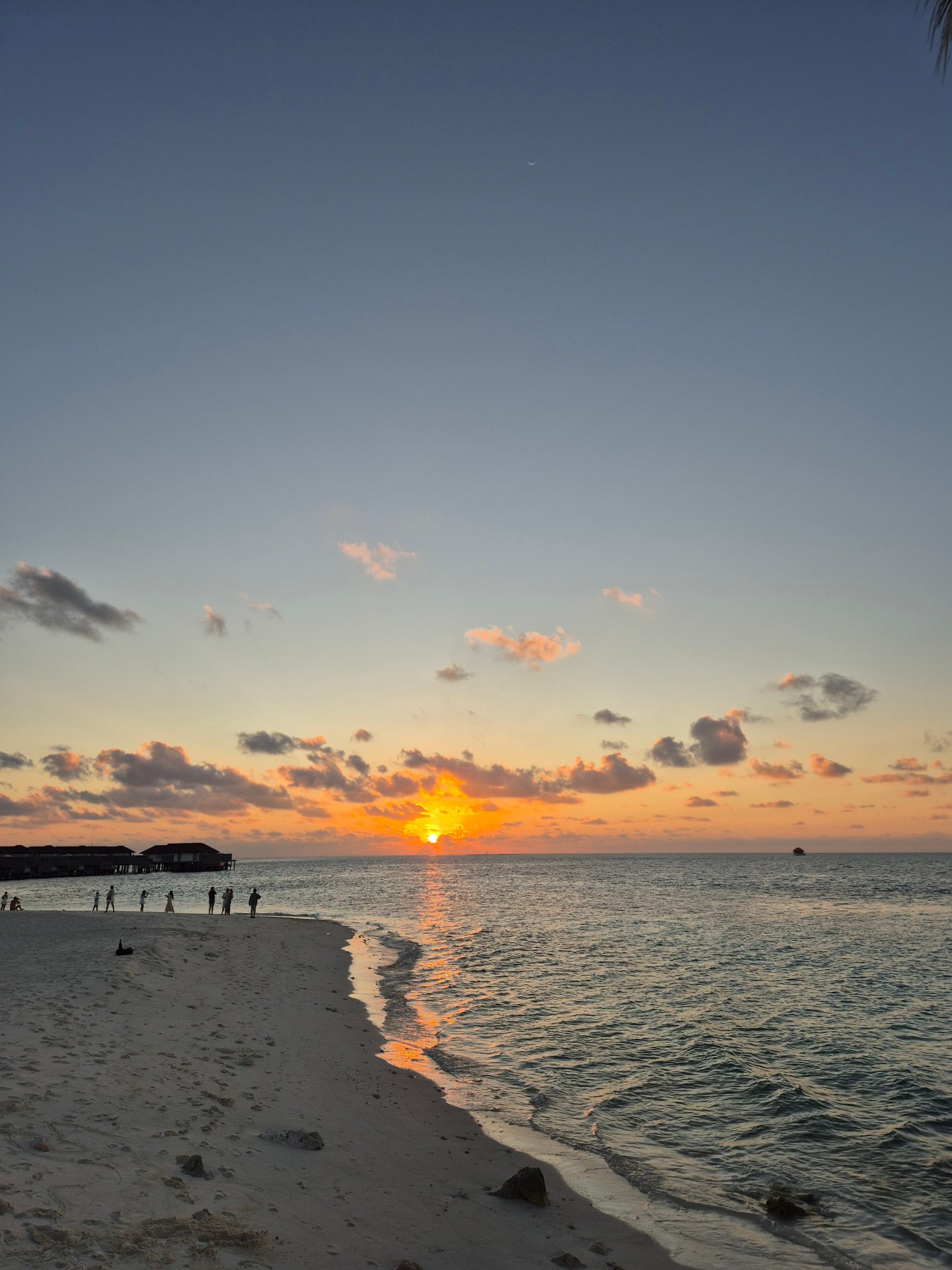 Avani+ Fares Maldives Resort-官方