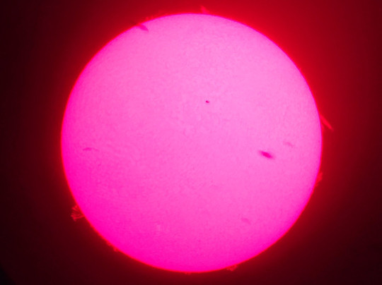 Ageo City Nature Learning Museum-上尾市必去景点