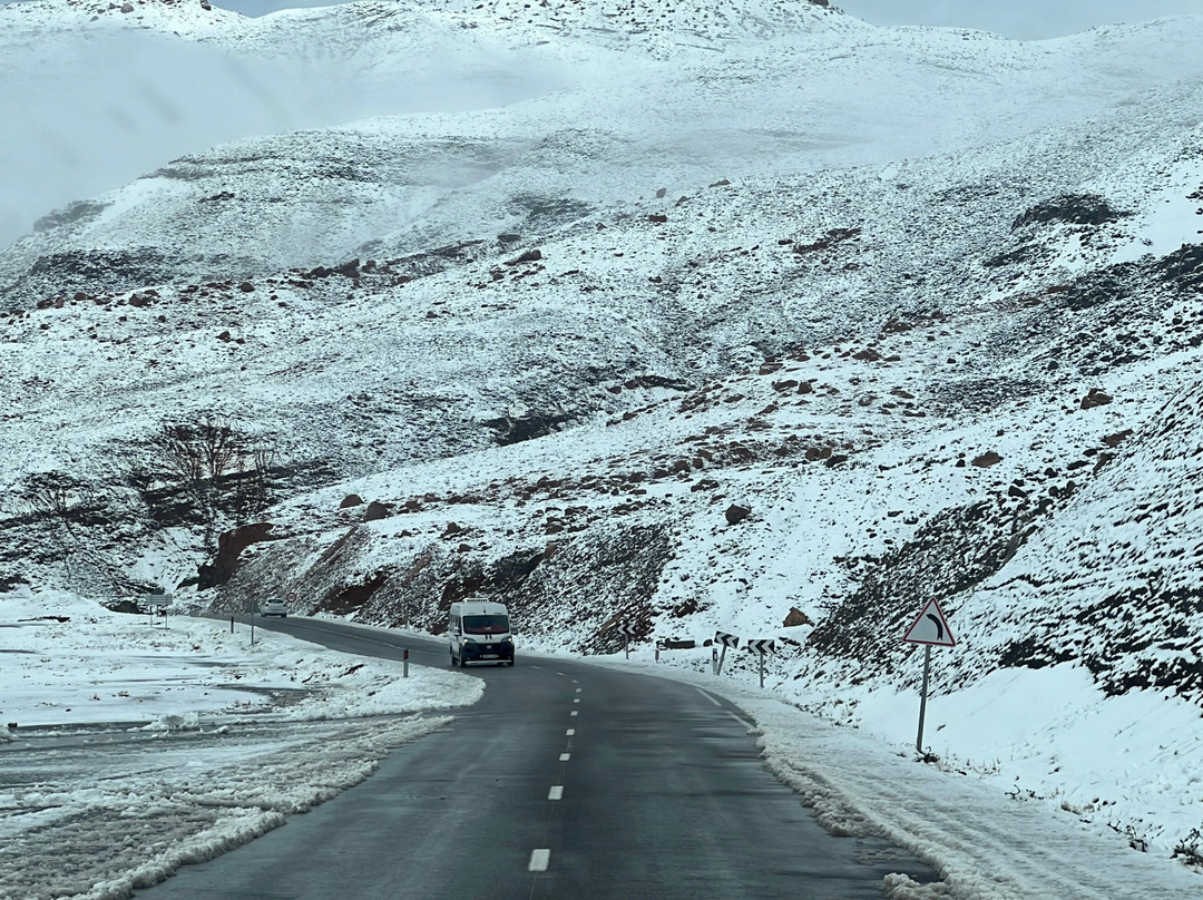 Oasis Desert Tours-卡萨布兰卡必去景点