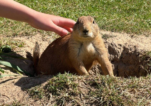 Tierpark Wismar-维斯马必去景点