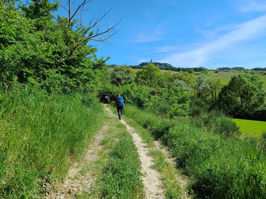 Via Francigena Tappa 36 San Quirico d'Orcia - Radicofani-圣奎里科多尔恰必去景点