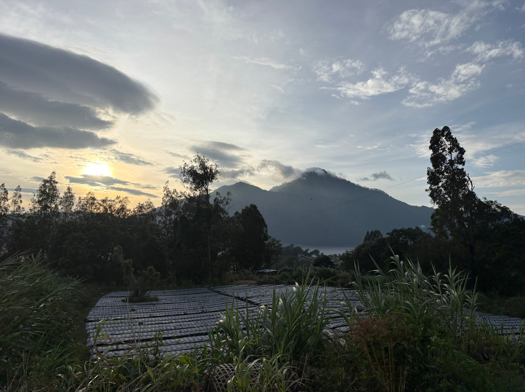 Mount Batur Sunrise Jeep-金塔马尼必去景点