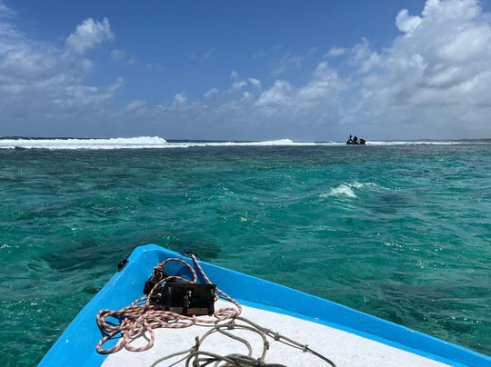 Sud Tropical-蓝湾必去景点