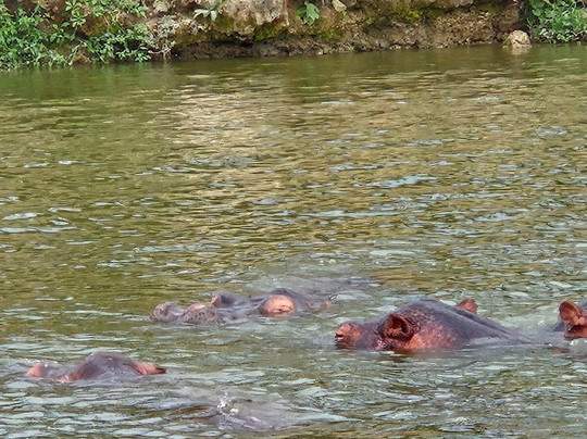 Empirical Tour and Travel Ltd-吉塞尼必去景点