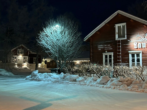 劳里历史木屋庄园公寓主图
