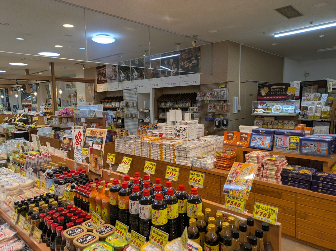 Kisakata Michi-no-Eki Nemu no Oka-仁贺保市必去景点