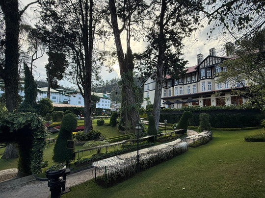 中央省餐馆和美食-Tea Lounge