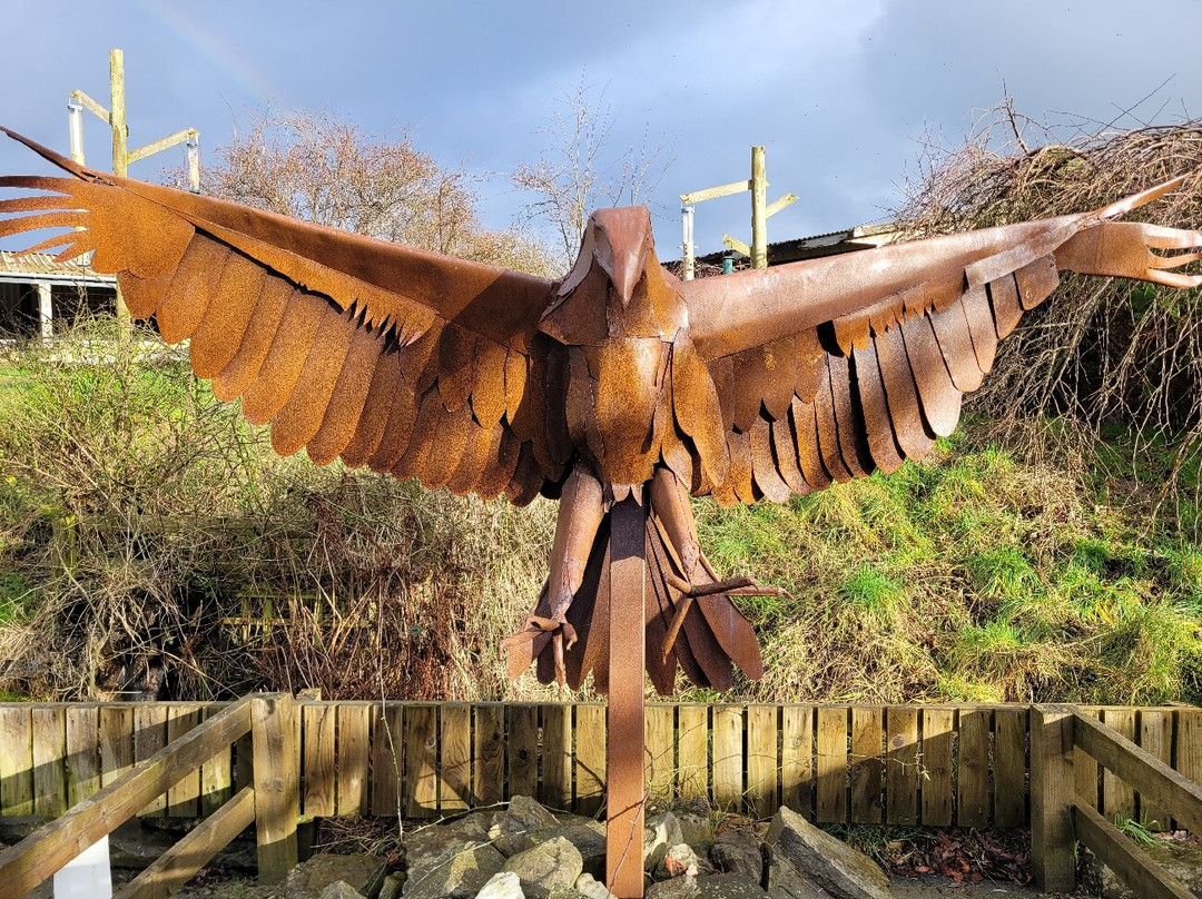 Gigrin Farm Red Kite Feeding Centre-Rhayader必去景点