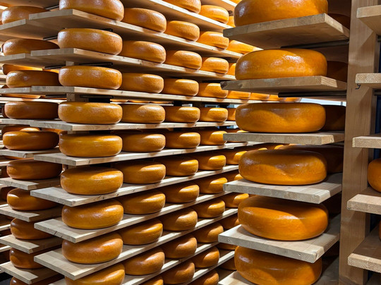 Kaaspakhuis-Woerden必去景点